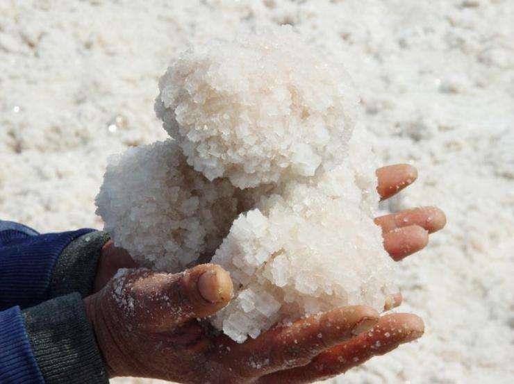 海鹽廠家